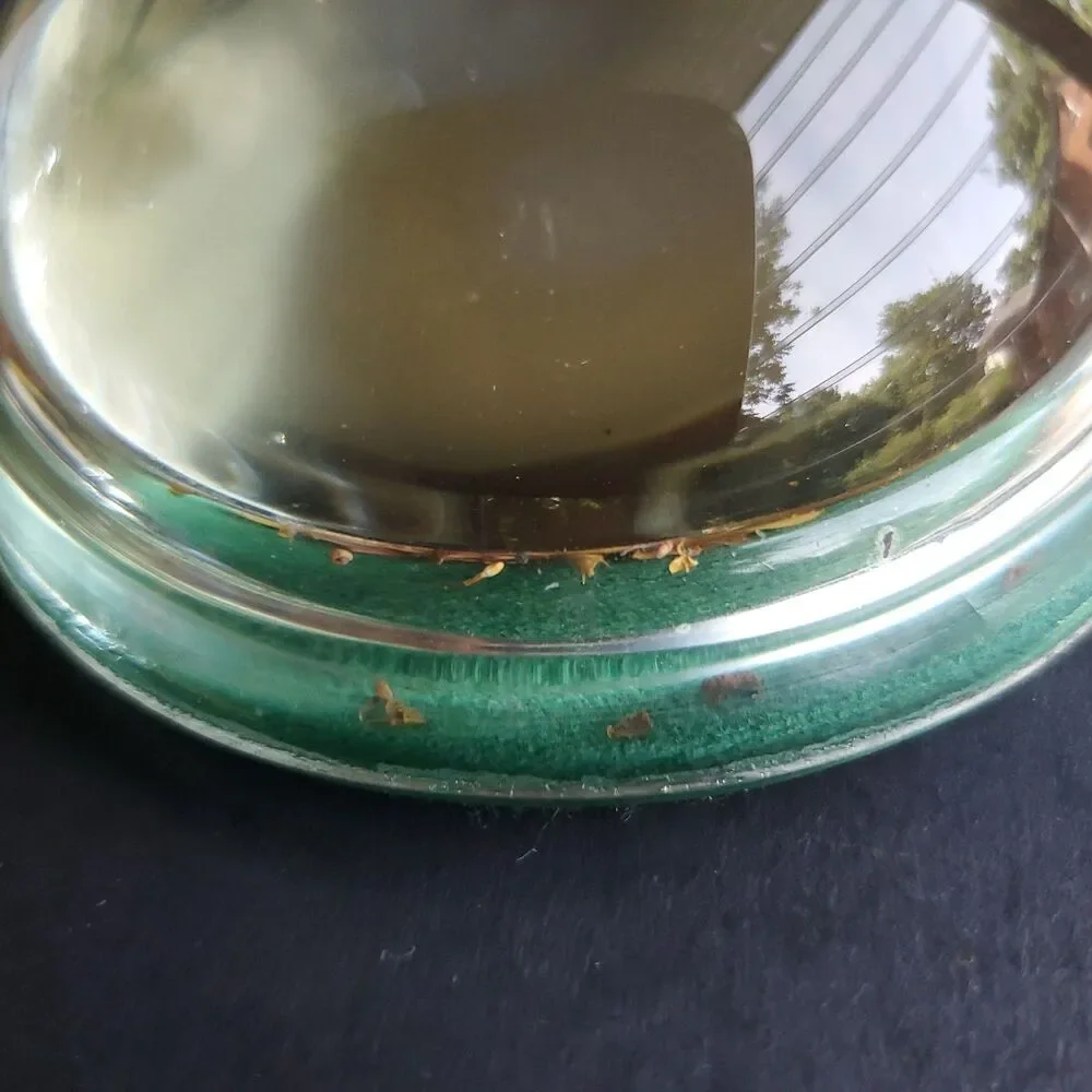 Vintage Paperweight Dried Flowers Round Green Nottingham Originals Eastville VA